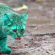 Illustration for article titled Caturday - Its Not Easy Being Green Edition